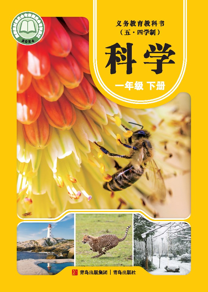 青岛版一年级科学下册(2025春版)电子课本